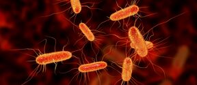 Sepsis-causing bacteria
