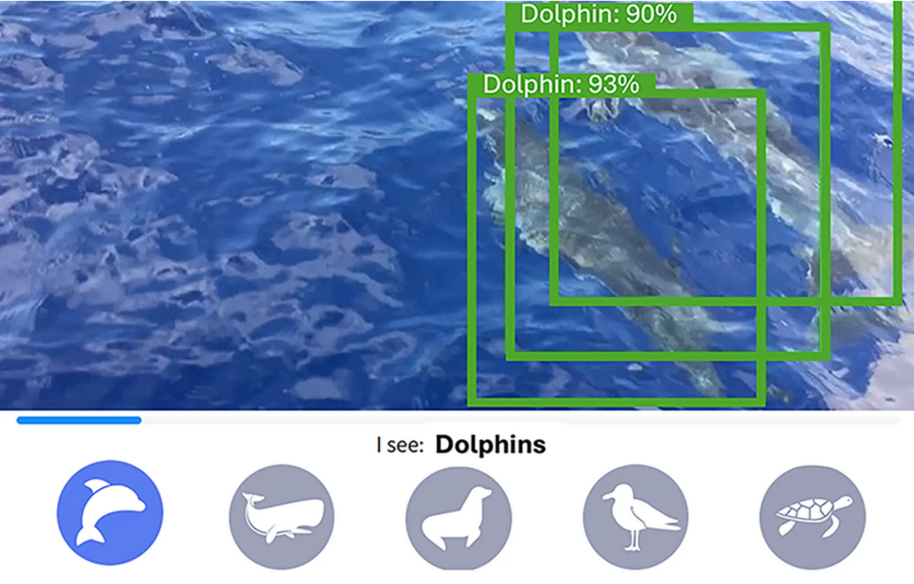 AI dolphin